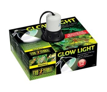 Exo Terra® Glow Light, Porzellan Klemmlampe small