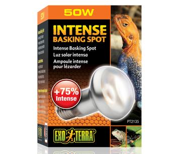 Exo Terra Intense Basking Spot