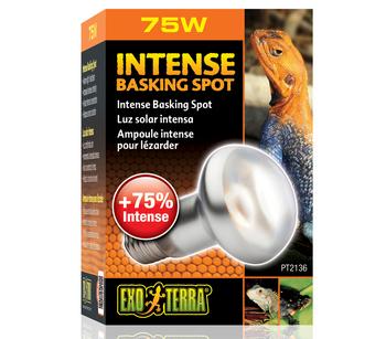 Exo Terra® Intense Basking Spot