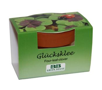 Pflanzset Glücksklee