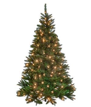 Triumph Tree künstlicher LED-Weihnachtsbaum Bristlecone, ca. H185 cm
