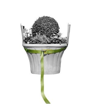 Bio Green Tragegurt für Kübelpflanzen, grün, ca. L250/B3,5 cm