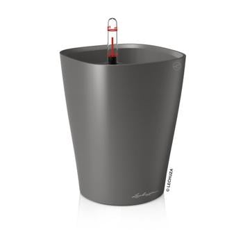 LECHUZA DELTINI, All-in-One-Set, Dunkelgrau - Kunststoff