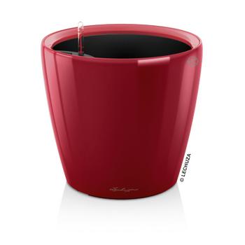 LECHUZA CLASSICO LS, All-in-One-Set, Dunkelrot - Kunststoff