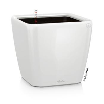 LECHUZA® QUADRO LS, All-in-One-Set