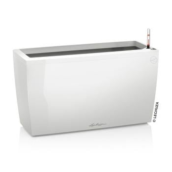 LECHUZA® Kunststoff-Kasten CARARO All-in-One-Set, rechteckig, ca. B75/H43/T30 cm