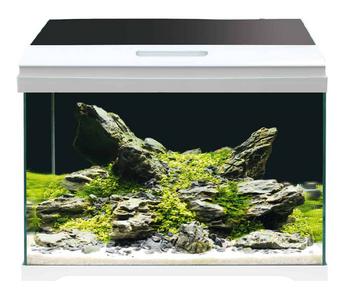 amtra Aquarium-Set Modern Tank 40 LED, 28 l, weiß, ca. B42,5/H36,5/T23,5 cm