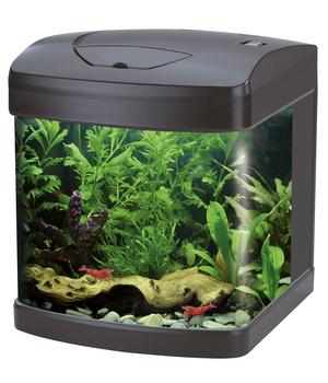amtra Aquarium-Set Nano XCUBE LED, 26 l, ca. B32/H37/T31 cm