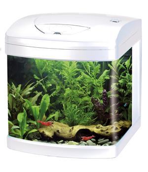 amtra Aquarium-Set Nano XCUBE LED, 26 l, ca. B32/H37/T31 cm