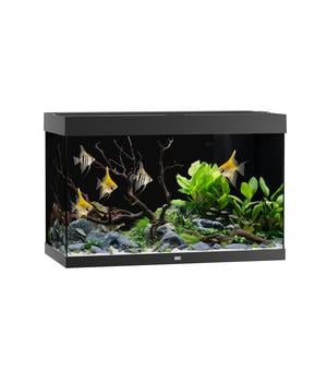 JUWEL® AQUARIUM Rio 290 LED, 290 l
