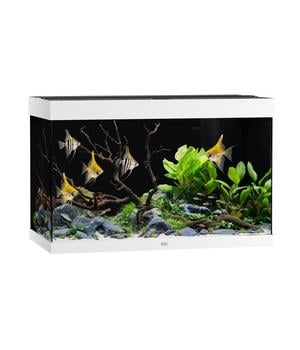 JUWEL® AQUARIUM Rio 290 LED, 290 l