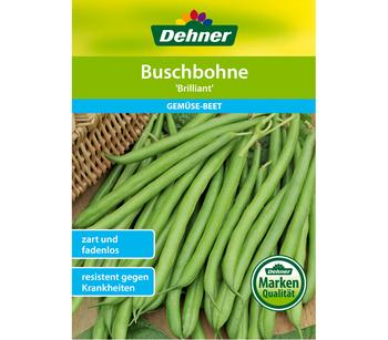 Dehner Samen Buschbohne 'Brilliant'