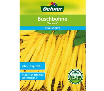 Dehner Samen Buschbohne 'Sonesta'