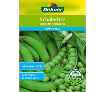 Dehner Samen Schalerbse 'Kleine Rheinländerin'