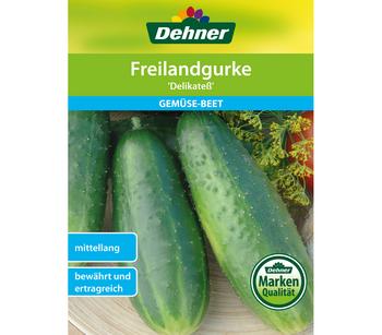 Dehner Samen Freilandgurke 'Delikateß'