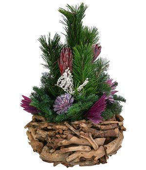 Grabgesteck in Wurzelholz-Schale, lila, ca. Ø35/H60 cm