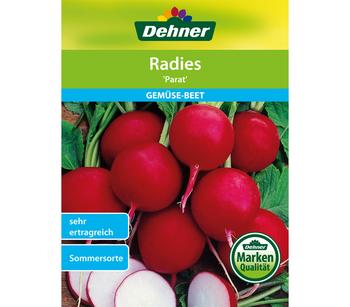 Dehner Samen Radies 'Parat'