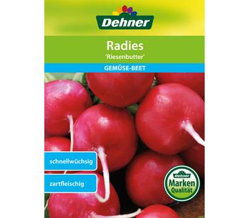 Dehner Samen Radies 'Riesenbutter'