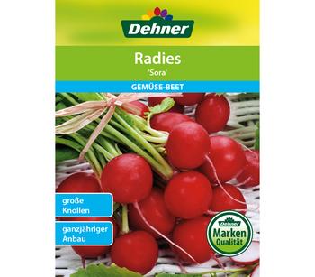 Dehner Samen Radies 'Sora'