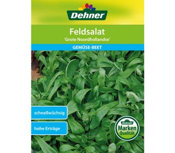 Dehner Samen Feldsalat 'Grote Noordhollandse'