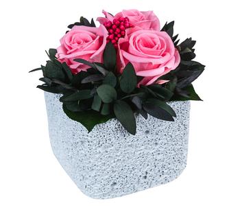 Dehner Keramik-Schale mit Longlife-Rose Izzy, ca. Ø12/H16 cm