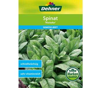 2 x Dehner Samen Spinat 'Matador' - Mindestbestellmenge: 2 Stk.