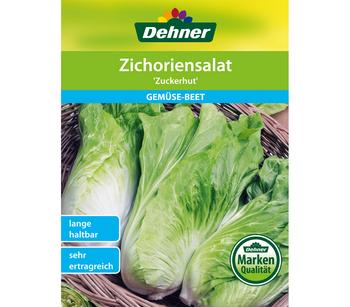 Dehner Samen Zichoriensalat 'Zuckerhut'