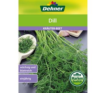 Dehner Samen Dill