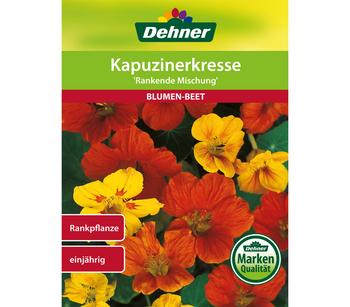 Dehner Samen Kapuzinerkresse 'Rankende Mischung'