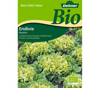 Dehner Bio-Samen Endivien 'Nuance'
