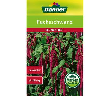 Dehner Samen Fuchsschwanz, Rot