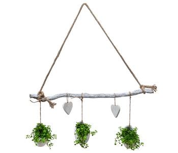 Wandhänger Herz mit Peperomie - Peperomia rotundifolia, weiß von Dehner, Grün, Weiß Keramik, Kunststoff, Naturmaterial