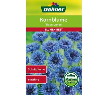 2 x Dehner Samen Kornblume 'Blauer Junge' - Mindestbestellmenge: 2 Stk.