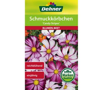 Dehner Samen Schmuckkörbchen 'Candy Stripes'