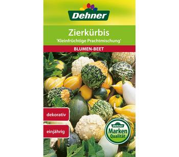 Dehner Samen Zierkürbis 'Kleinfrüchtige Prachtmischung'