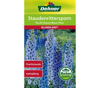 Dehner Samen Staudenrittersporn 'Pacific Riesen Blaue Töne'
