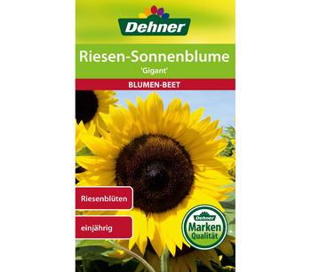 2 x Dehner Samen Sonnenblume 'Gigant', Gelb - Mindestbestellmenge: 2 Stk.
