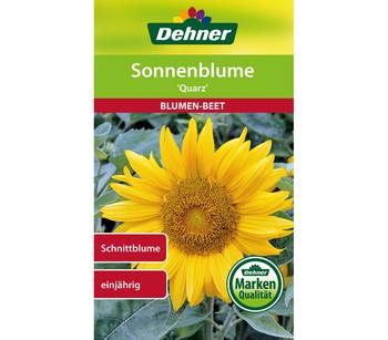Dehner Samen Sonnenblume 'Quarz', Gelb
