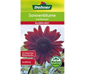 Dehner Samen Sonnenblume 'Samtkönigin', Rot