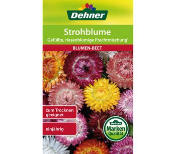 Dehner Samen Strohblume 'Gefüllte, riesenblumige Prachtmischung'