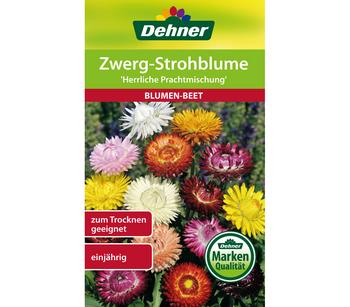 Dehner Samen Zwerg-Strohblume 'Herrliche Prachtmischung', Bunt