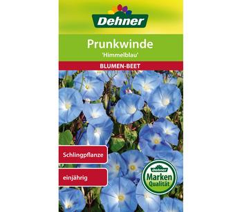 Dehner Samen Prunkwinde 'Himmelblau'