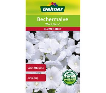Dehner Samen Bechermalve 'Mont Blanc', Weiß