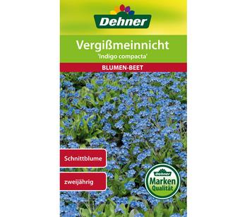 Dehner Samen Vergißmeinnicht 'Indigo compacta'