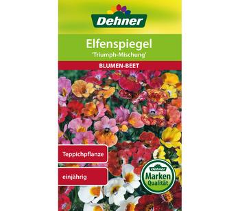 Dehner Samen Elfenspiegel 'Triumph Mischung'