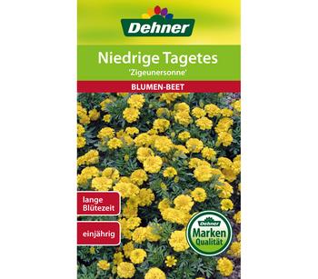 Dehner Samen für Niedrige Tagetes 'Zigeunersonne', Gelb