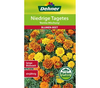 Dehner Saatgut Niedrige Tagetes 'Bonita Mischung'