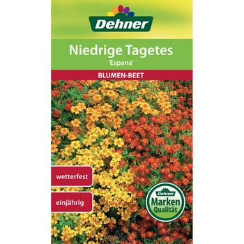 Dehner Samen Niedrige Tagetes 'España'