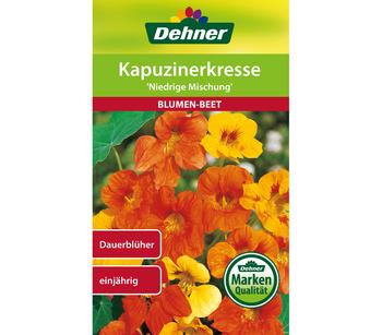 Dehner Samen Kapuzinerkresse 'Niedrige Mischung'
