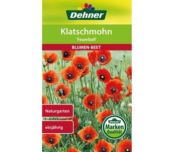 Dehner Samen Klatschmohn 'Feuerball'